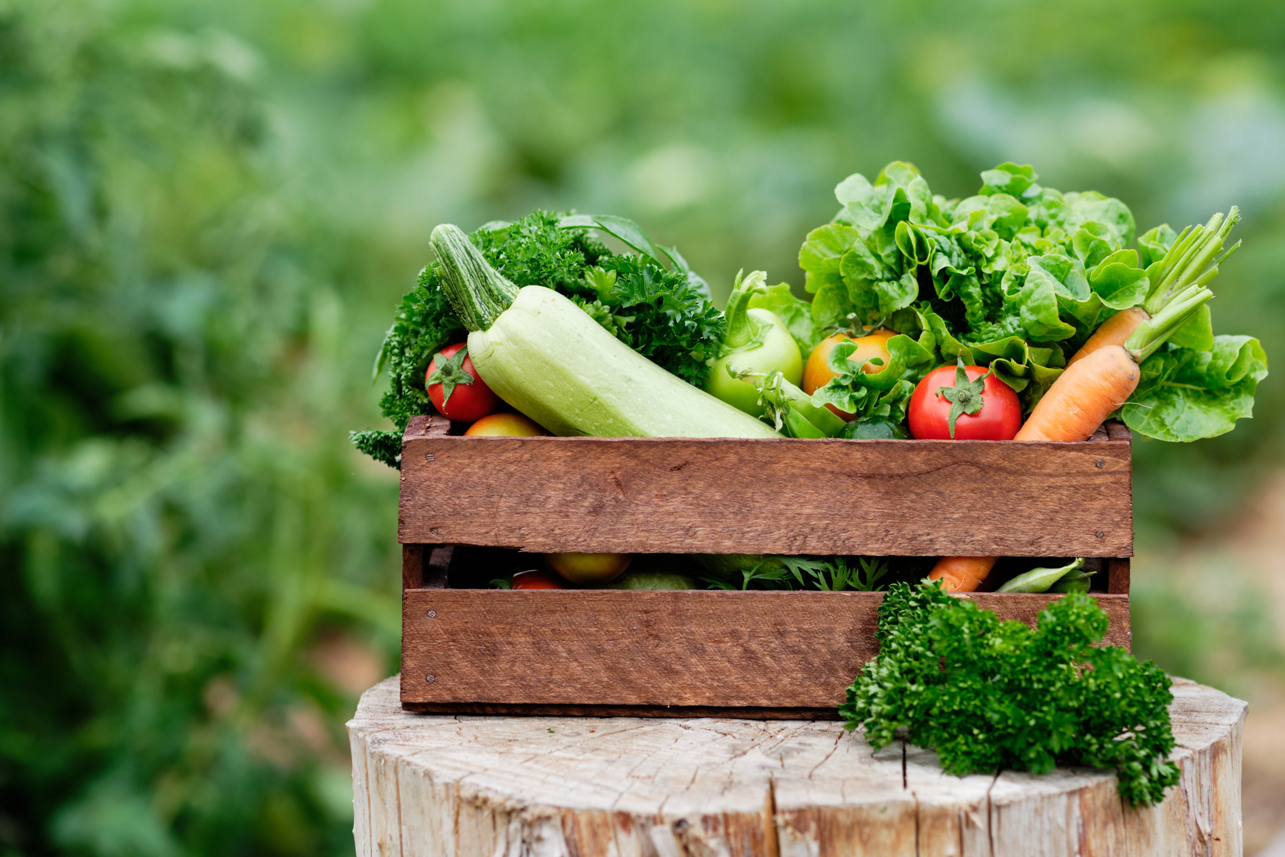 A rapidly growing food delivery service enhances its IT infrastructure, uptime, and data security with Thrive to keep up with demand.