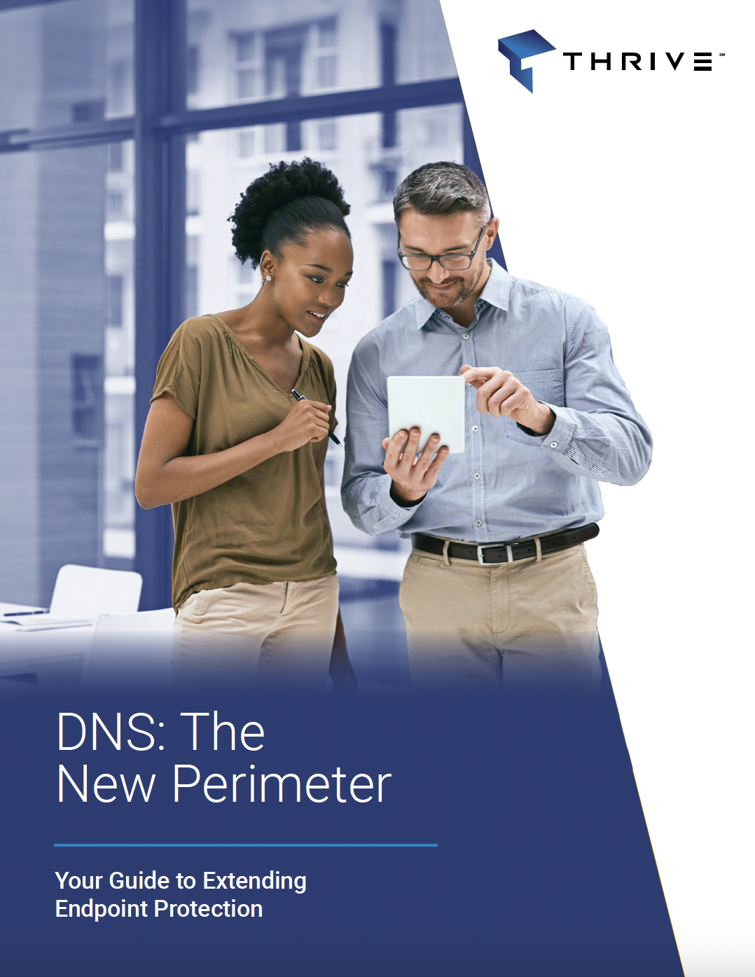 DNS: The New Perimeter Guide